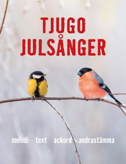 Tjugo Julsånger i gruppen Noter & böcker / Sång och kör / Körnoter och flerstämmigt hos musikskolan.se (9789188937520)