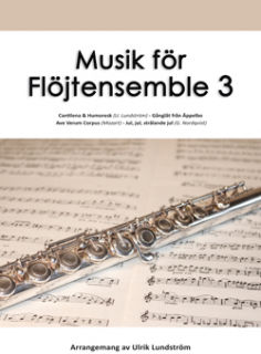 Musik för flöjtensemble 3 i gruppen Noter & böcker / Flöjt / Flute Choir / flöjtensemble hos musikskolan.se (771131)