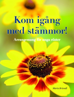 Kom igång med stämmor! i gruppen Inspiration & undervisning / Skolkören hos musikskolan.se (9789188181169)