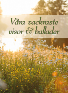 Våra vackraste visor & ballader i gruppen Inspiration & undervisning / Sångsamlingar hos musikskolan.se (9789189852204)