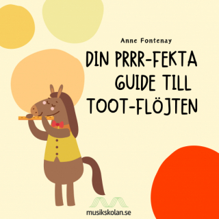 Din prr-fekta guide till TooT-flöjten (flöjtskola) i gruppen Noter & böcker / Flöjt / Spelskolor, etyder och övningar hos musikskolan.se (9789198950601)