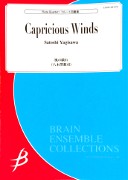 Capricious Winds for Flute Quartet i gruppen Noter & böcker / Flöjt / Kvartetter: 4 flöjter hos musikskolan.se (ENMS84129)