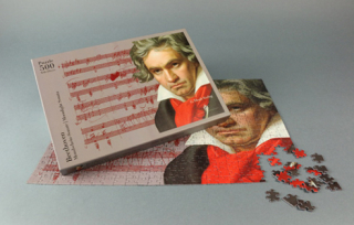 Pussel Beethoven Månskenssonaten 500 bitar i gruppen Instrument & tillbehör / Smått & gott hos musikskolan.se (HN8035)