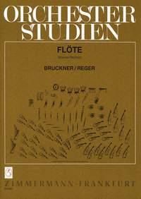 Ork.stud: Bruckner/Reger i gruppen Noter & böcker / Flöjt / Spelskolor, etyder och övningar hos musikskolan.se (ZM2697)