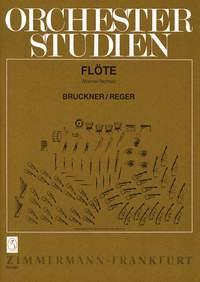 Ork.stud: Bruckner/Reger i gruppen Noter & böcker / Flöjt / Spelskolor, etyder och övningar hos musikskolan.se (ZM2697)