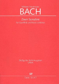 Bach W.Fr: 2 Sonaten e-moll + F-Dur /Fl+bc