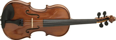 Viola