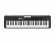 Keyboard Casio CT-S300 Keyboard Casio CT-S300