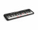 Keyboard Casio LK-S250 