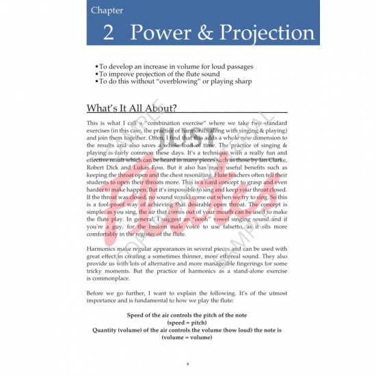 Stephen Clarke: The Flute Gym