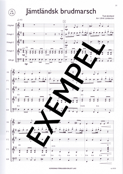 Gitarrbanken Altgitarr