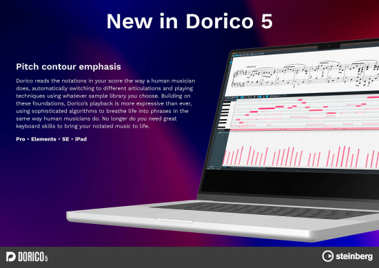 Dorico Pro 5 Uppgradering 2 Fleranvändare Skollicens från v 2-3