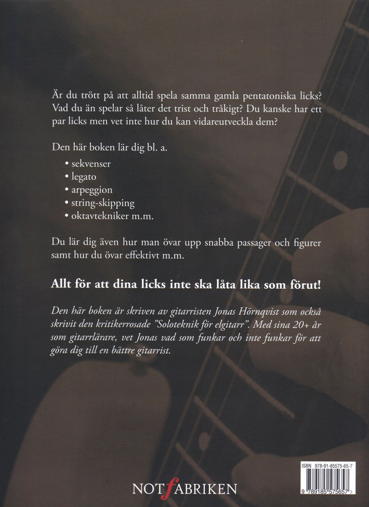 Soloteknik för rock & blues inkl CD