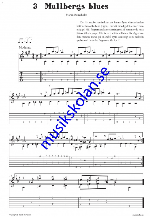 Sologitarristen (Martti Reineholm)