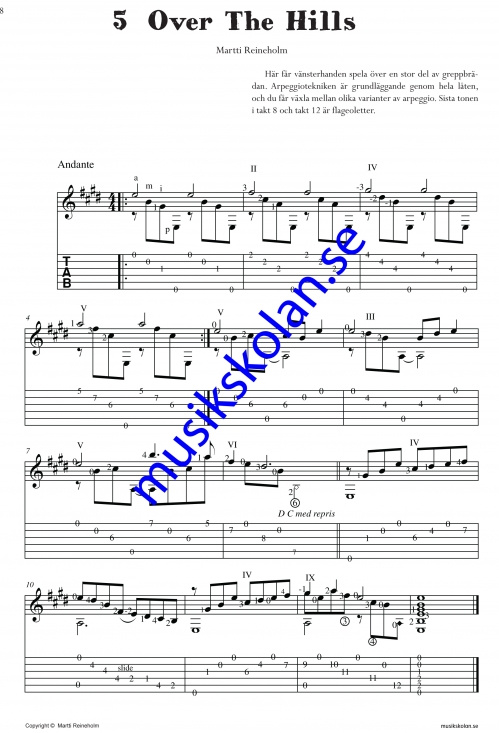 Sologitarristen (Martti Reineholm)