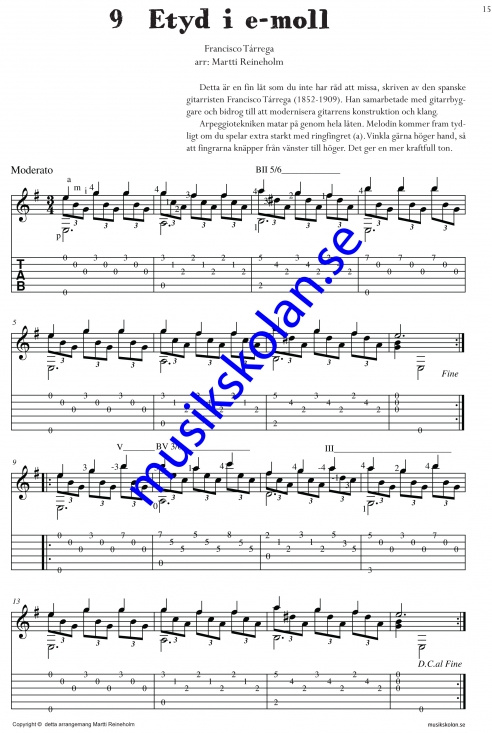 Sologitarristen (Martti Reineholm)