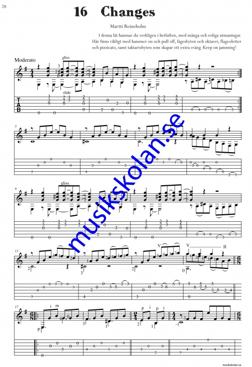 Sologitarristen (Martti Reineholm)