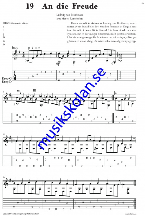 Sologitarristen (Martti Reineholm)