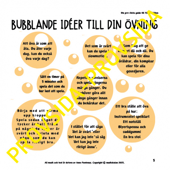 Din prrr-fekta guide till TooT-flöjten (flöjtskola)