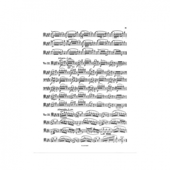 Sevcik: 40 variations opus 3 för cello