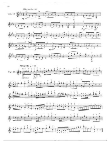 Sevcik: 40 variations opus 3 för violin