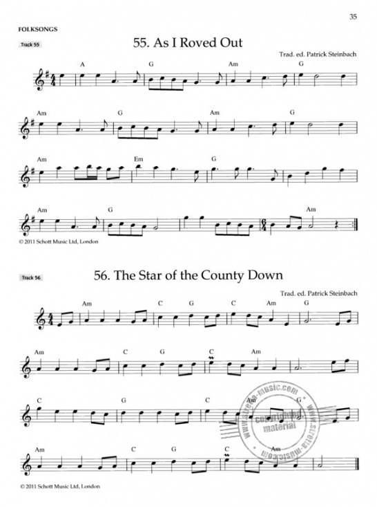  Irish Folk Tunes for Flute 1