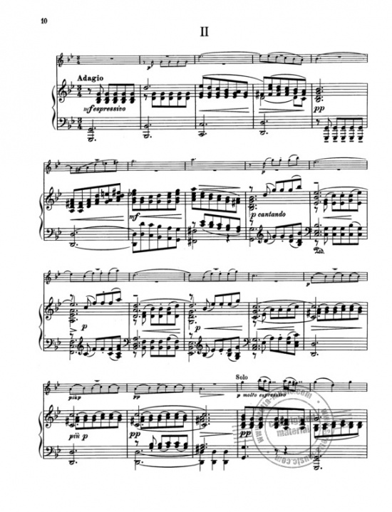 Vivaldi: Violinkonsert RV317 i g-moll för violin och piano