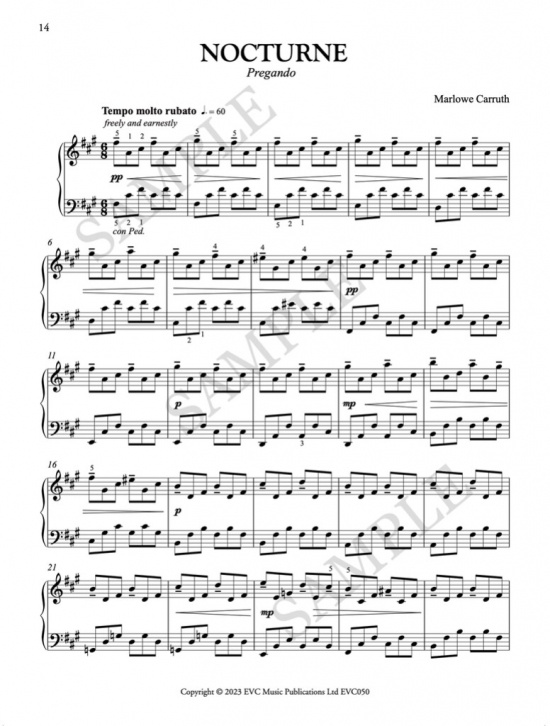 22 Nocturnes for Chopin