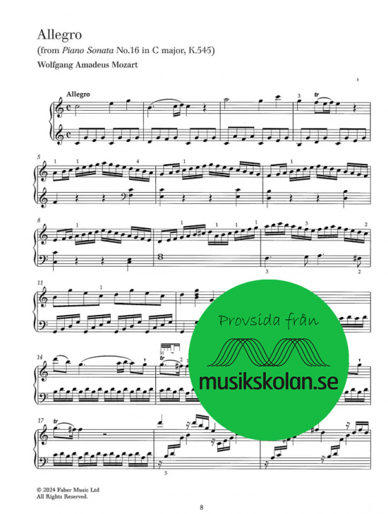 The Piano Player: Classical Piano Pieces