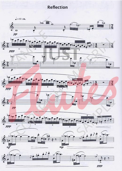 Groslot: Statement, Reflection and Conclusion (2010) för soloflöjt