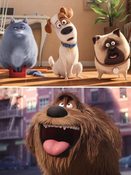 The Secret Life Of Pets