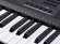 Keyboard Medeli Millenium MK401