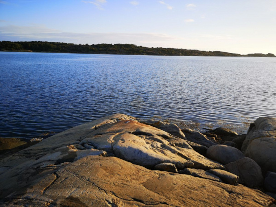 Andersen: 18 Petites Etudes Opus 41