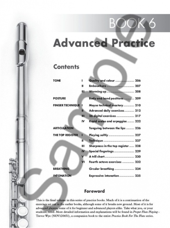 Wye: Practice Books for the flute 1-6