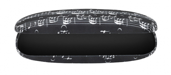 Glasögonfodral svart med notrader 