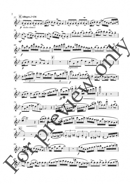 Pucihar: Rituals för flöjt och piano