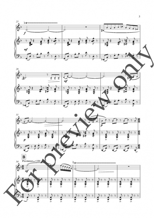 Pucihar: Concerto for flute and strings fl+pi