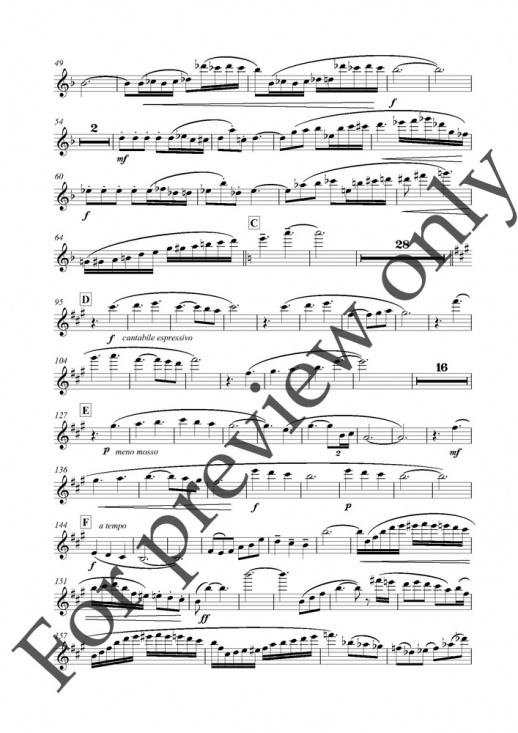 Pucihar: Concerto for flute and strings fl+pi