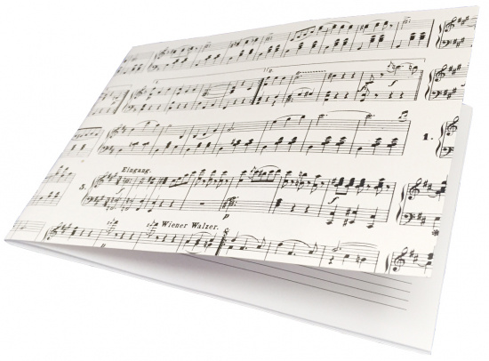 Nothäfte Strauss A5 med fyra notsystem