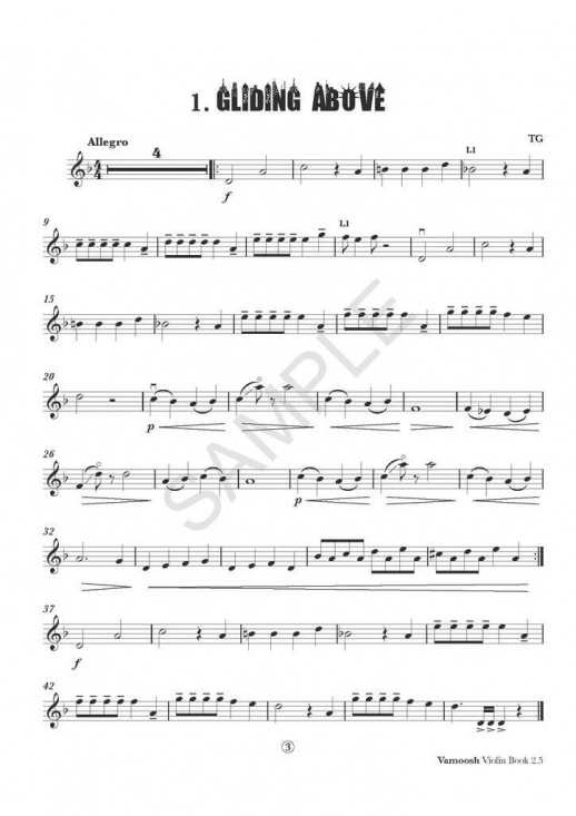 Vamoosh Violin Book 2.5