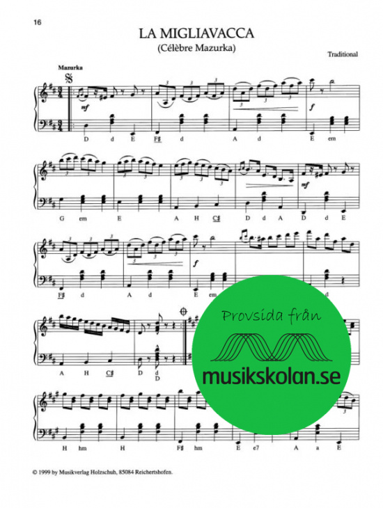 Akkordeon pur Musettemelodien