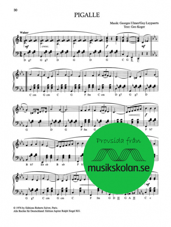 Akkordeon pur Musettemelodien