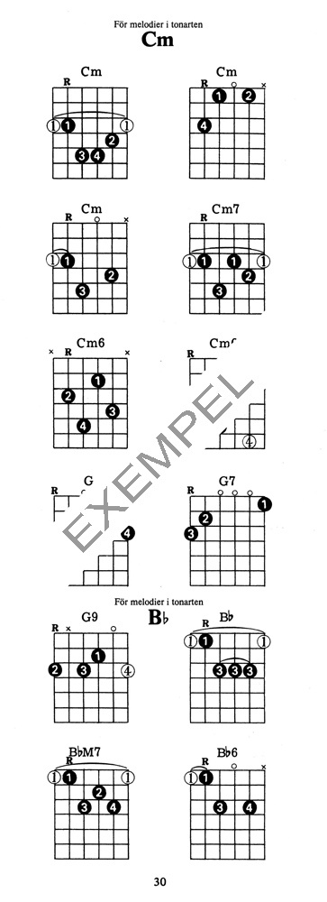 Ackordboken för gitarrfodralet